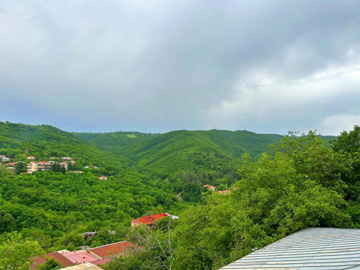 Hotel Vim In Sighnaghi Εξωτερικό φωτογραφία